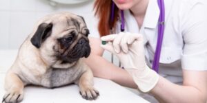 Kunskapsbanken - 28604427 xxlhd